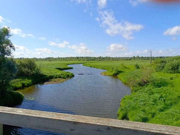 Зоологи ОмГПУ ищут белку-летягу во время экспедиции на севере Омской области