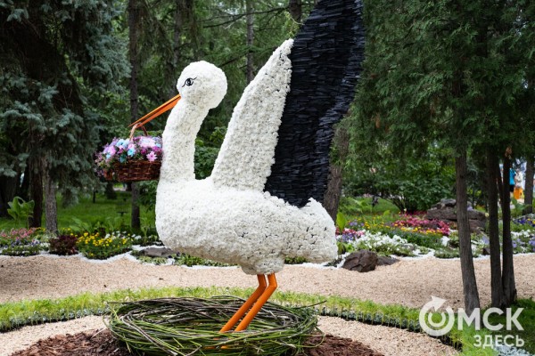 Миллион цветов на семейные истории: в Омске открылась "Флора"