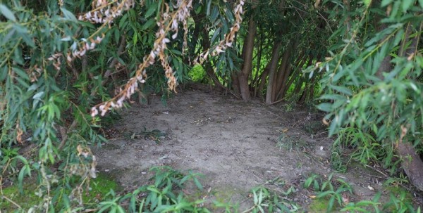 Валенки, рюкзаки и шины. С берега Иртыша вывезли 192 мешка с мусором