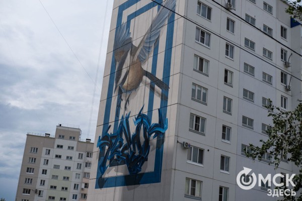 Граффити, птицы и пиксели: чем удивляют художники на фестивале "Омск, ты просто космос!"