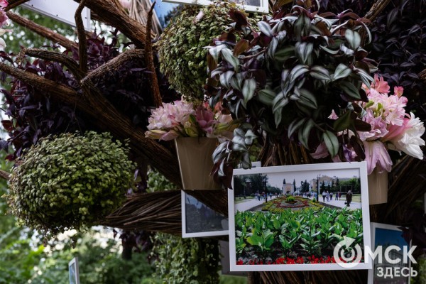 Миллион цветов на семейные истории: в Омске открылась "Флора"