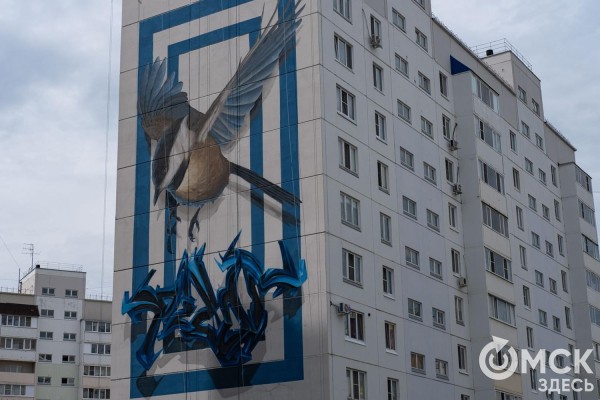 Граффити, птицы и пиксели: чем удивляют художники на фестивале "Омск, ты просто космос!"