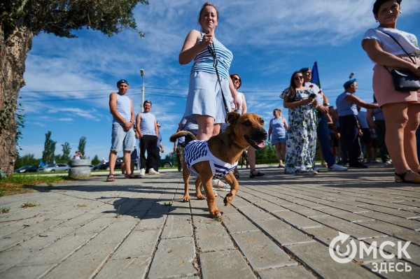 Большой фоторепортаж: как в Омске отметили День ВДВ