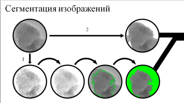 Молодой наноинженер из Омска автоматизировал и ускорил оценку структуры техуглерода Молодой наноинженер из Омска автоматизировал и ускорил оценку структуры техуглерода