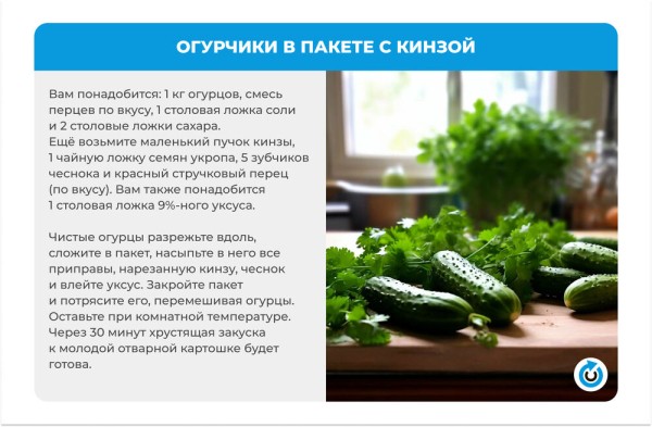 Огуречный бум: 4 простых рецепта малосольных огурцов