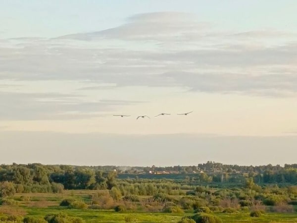 Зоологи ОмГПУ ищут белку-летягу во время экспедиции на севере Омской области