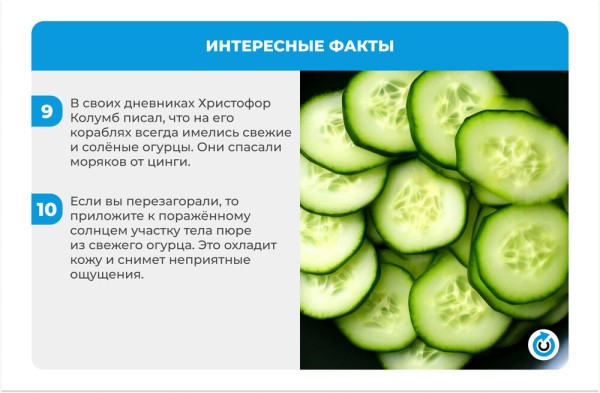 Огуречный бум: 4 простых рецепта малосольных огурцов