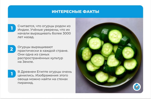 Огуречный бум: 4 простых рецепта малосольных огурцов