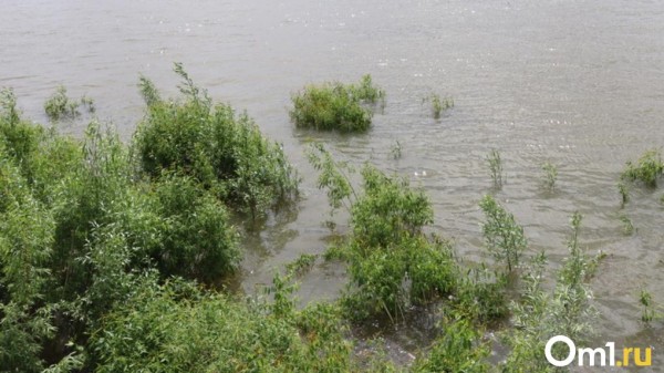 Из-за угрозы затопления в Омской области ввели режим повышенной готовности Из-за угрозы затопления в Омской области ввели режим повышенной готовности