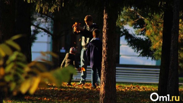 Тепло ещё постоит: стало известно, какую погоду ждать омичам в октябре Тепло ещё постоит: стало известно, какую погоду ждать омичам в октябре