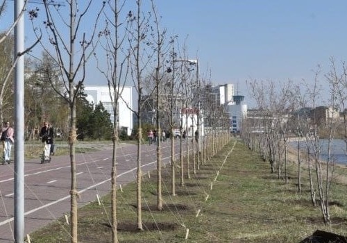 Бизнесмен, благоустраивающий Аллею олимпийцев, занялся сыром