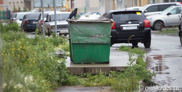 Камеры отследят тех, кто мусорит в Омске Камеры отследят тех, кто мусорит в Омске