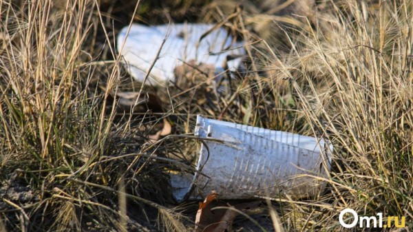 В Омске объявили дату общегородского осеннего субботника В Омске объявили дату общегородского осеннего субботника