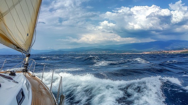 "Я пошёл посмотреть рыбок в море, и вся моя жизнь стала морем". Бразильский путешественник Алейшо Белов посетил Омск "Я пошёл посмотреть рыбок в море, и вся моя жизнь стала морем". Бразильский путешественник Алейшо Белов посетил Омск