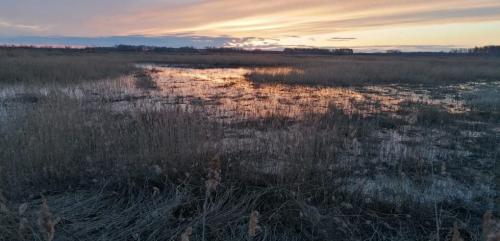 В Калачинске чиновница Мецлера обматерила депутата и журналиста в лучших традициях портовых грузчиков