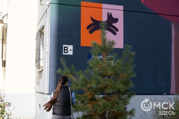 В Омске открыли галерею масштабных граффити под открытым небом