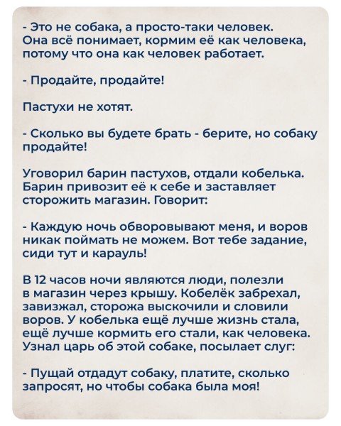 Сегодня ты деревенский красавец, а завтра - птица в силках или собака-пастух. Читаем сказки Омского Прииртышья Сегодня ты деревенский красавец, а завтра - птица в силках или собака-пастух. Читаем сказки Омского Прииртышья
