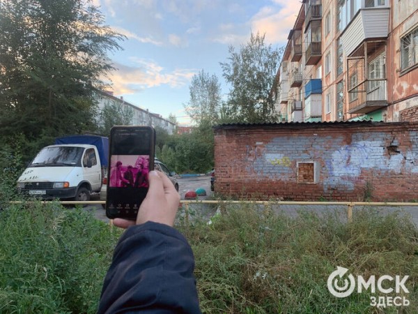 "Мы действуем скрытно и подписываемся анонимно". Кто и почему ухаживает за могилой Летова