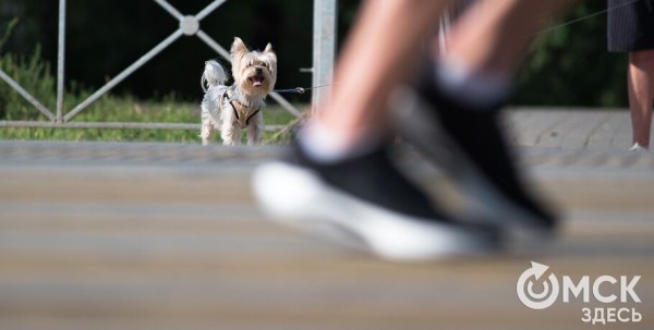 В "Птичьей гавани" вновь соберутся любители походить В "Птичьей гавани" вновь соберутся любители походить