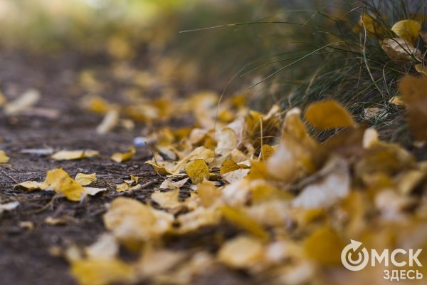 Уловить вдохновение в едва слышимых звуках: путь к гармонии с собой