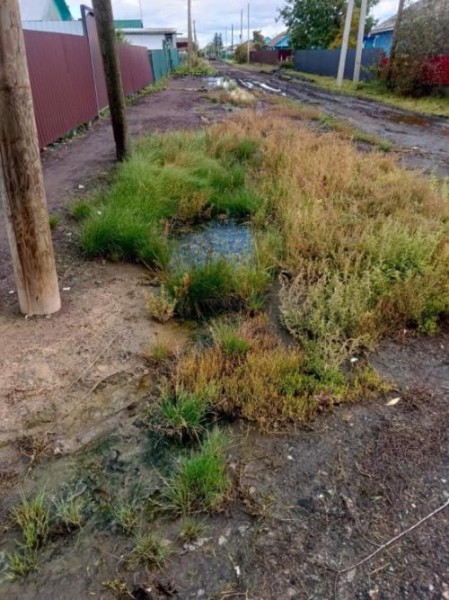 Жене омича-бойца СВО с детьми пришлось перебираться в арендованную квартиру