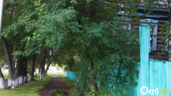 В Омске три дома признали непригодными для жизни после масштабного пожара В Омске три дома признали непригодными для жизни после масштабного пожара