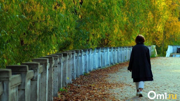 В Омске через два дня потеплеет до +21 В Омске через два дня потеплеет до +21