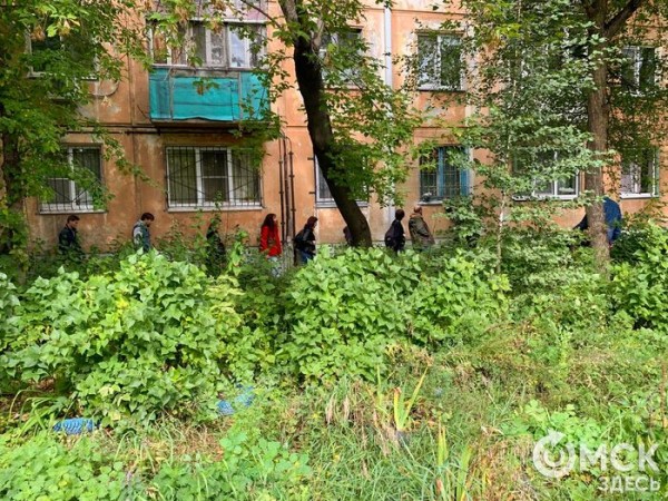 Сокровищница рок-наследия. Почему музей-квартира Егора Летова должен стать реальностью Сокровищница рок-наследия. Почему музей-квартира Егора Летова должен стать реальностью