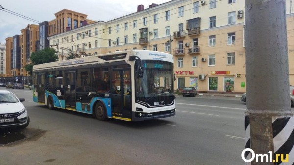 На время ремонта моста у Телецентра троллейбусы заменят автобусами На время ремонта моста у Телецентра троллейбусы заменят автобусами