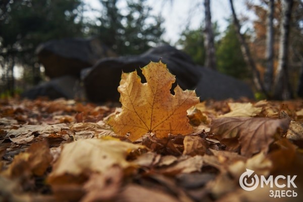 Уловить вдохновение в едва слышимых звуках: путь к гармонии с собой