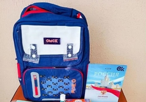 Подаренные первоклассникам в Омске рюкзаки уже «всплывают» на «Авито»