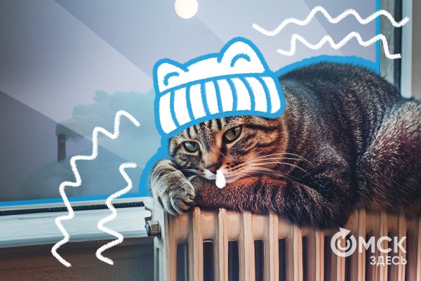 Чем запомнился сентябрь? Флешбэки по омским новостям Чем запомнился сентябрь? Флешбэки по омским новостям