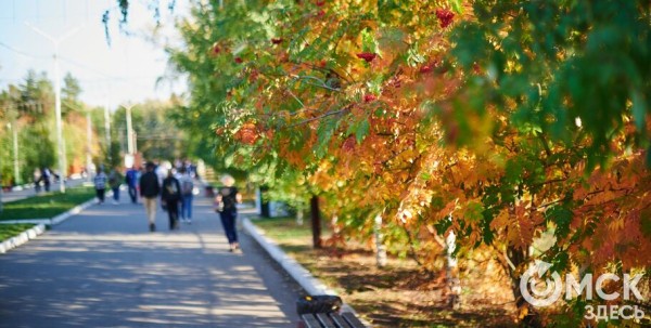 Насколько тёплыми будут осень и зима: синоптики дали прогноз на холодный сезон Насколько тёплыми будут осень и зима: синоптики дали прогноз на холодный сезон