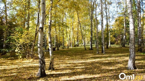 Омичей ждут последние тёплые выходные в этом году