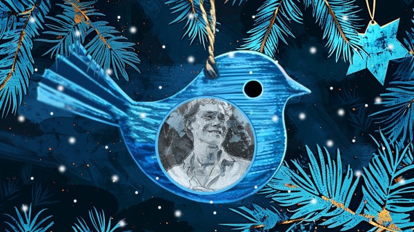 Новогодние приключения Оззи: как птичка с сайта "Омск Здесь" новогоднее чудо искала