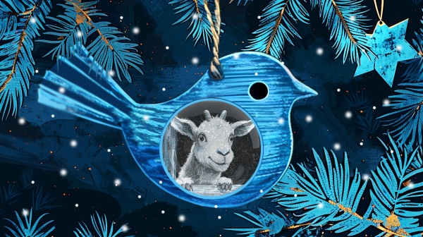 Новогодние приключения Оззи: как птичка с сайта "Омск Здесь" новогоднее чудо искала