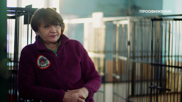 "Ты не имеешь права их оставить". Напоминаем о силе добра в канун Нового года "Ты не имеешь права их оставить". Напоминаем о силе добра в канун Нового года