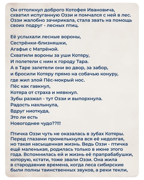 Новогодние приключения Оззи: как птичка с сайта "Омск Здесь" новогоднее чудо искала