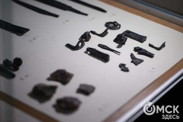 Для Тары разрабатывают мастер-план развития на ближайшее десятилетие Для Тары разрабатывают мастер-план развития на ближайшее десятилетие