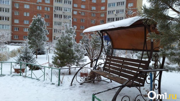 Потепление, снегопады и гололёд. Омичей ждут мощные перепады температуры Потепление, снегопады и гололёд. Омичей ждут мощные перепады температуры