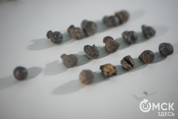 Для Тары разрабатывают мастер-план развития на ближайшее десятилетие Для Тары разрабатывают мастер-план развития на ближайшее десятилетие