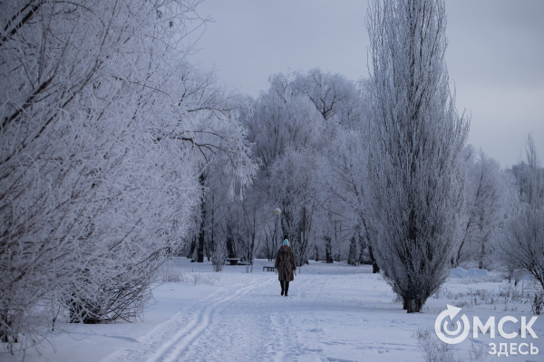 Коньки для осанки, лыжи для координации. В чём польза зимних активностей Коньки для осанки, лыжи для координации. В чём польза зимних активностей
