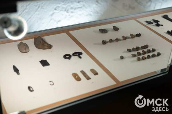 Для Тары разрабатывают мастер-план развития на ближайшее десятилетие Для Тары разрабатывают мастер-план развития на ближайшее десятилетие