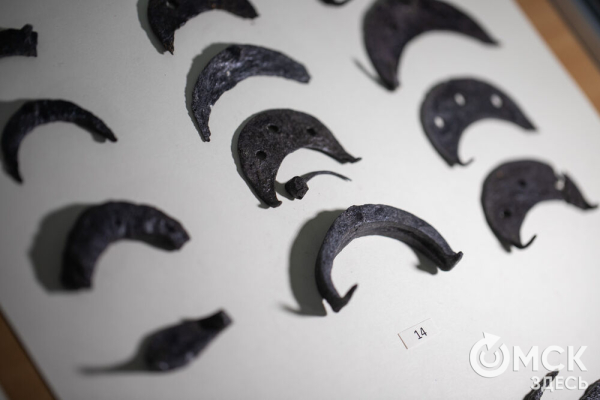 Для Тары разрабатывают мастер-план развития на ближайшее десятилетие Для Тары разрабатывают мастер-план развития на ближайшее десятилетие