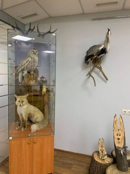 "Птичья гавань" получит собственный музей