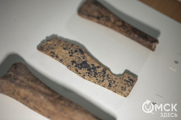 Для Тары разрабатывают мастер-план развития на ближайшее десятилетие Для Тары разрабатывают мастер-план развития на ближайшее десятилетие