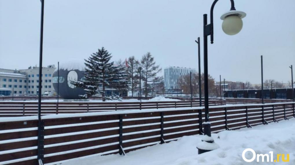 Стало известно, сколько стоит выход на лёд катка у шара на площади Бухгольца Стало известно, сколько стоит выход на лёд катка у шара на площади Бухгольца