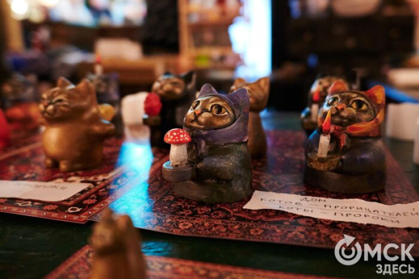 Гаражка в баре или Как коты-пророки искали новый дом