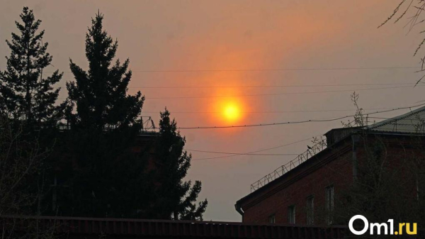 Помимо аномальных морозов, омичей на этой неделе ждёт ещё одна напасть Помимо аномальных морозов, омичей на этой неделе ждёт ещё одна напасть