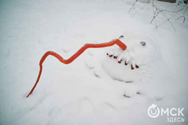 Не для слабонервных. В Омске наградили авторов самых креативных снеговиков